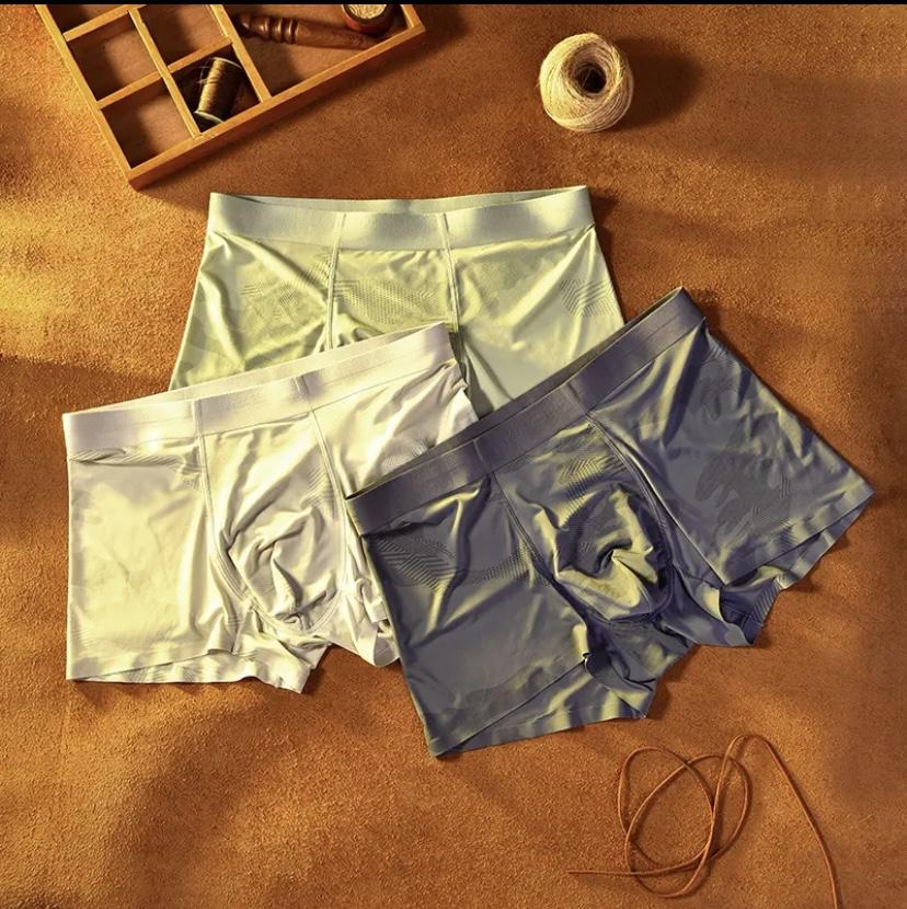 Men's Print Antibacterial Leak Proof Underwear