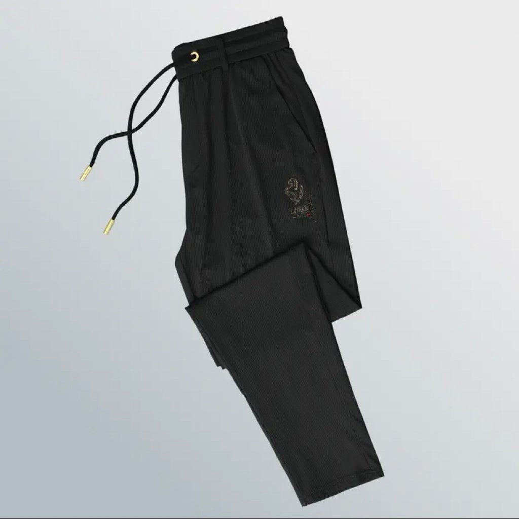 Men's Drawstring Elastic Ice Silk Casual Pants( Free Shipping✔️)