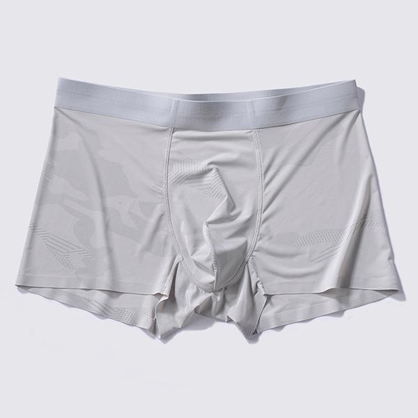 Men's Print Antibacterial Leak Proof Underwear