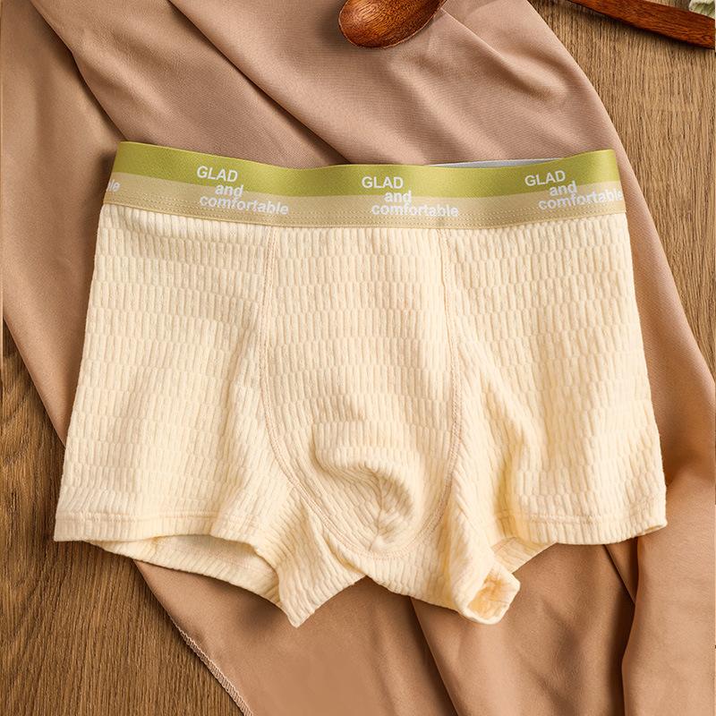 Men's Basic Cotton Pure Color Underwear