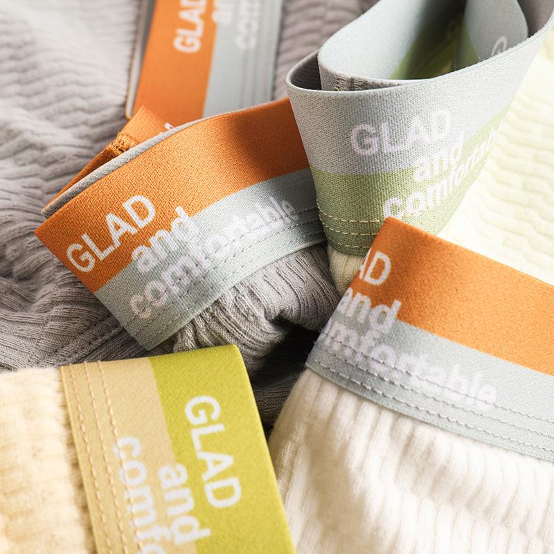 Men's Basic Cotton Pure Color Underwear