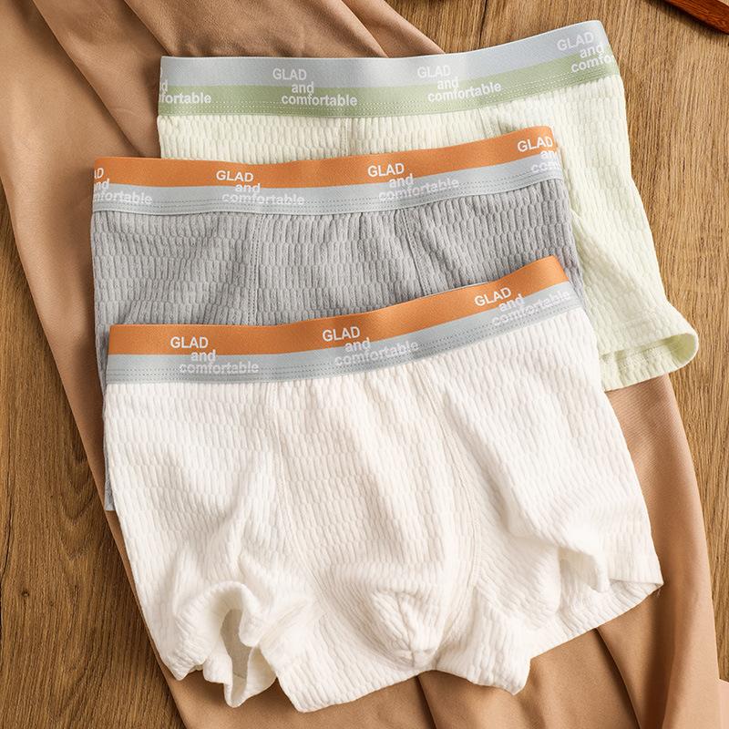 Men's Basic Cotton Pure Color Underwear