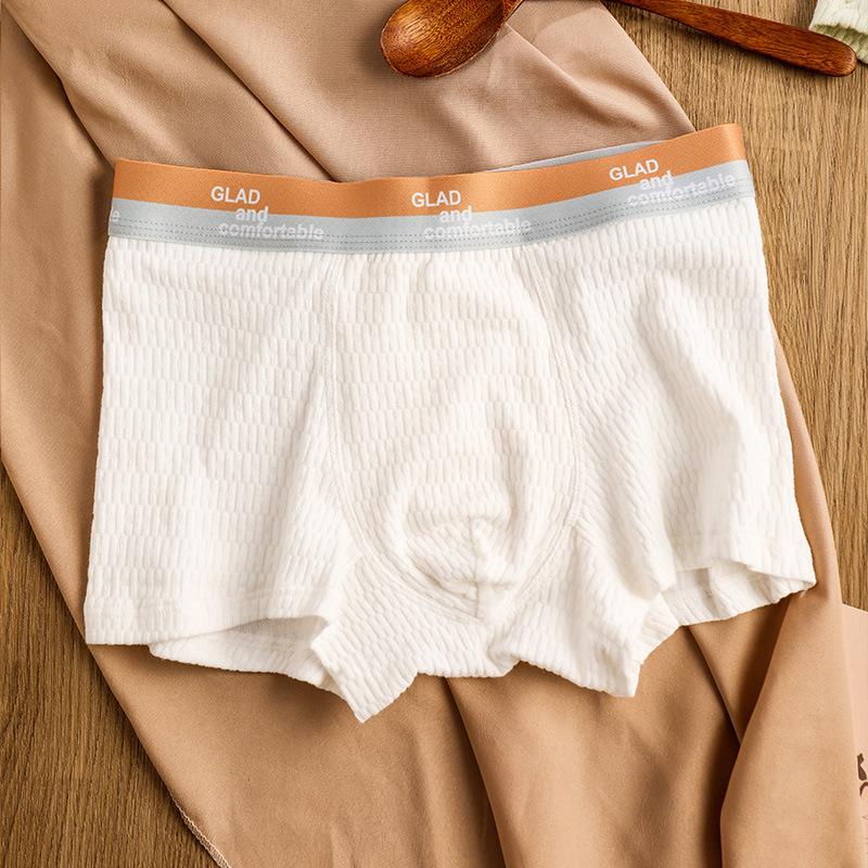 Men's Basic Cotton Pure Color Underwear