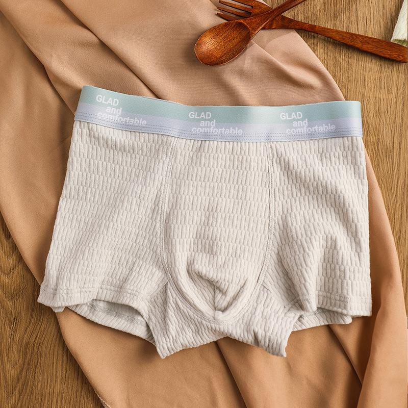 Men's Basic Cotton Pure Color Underwear