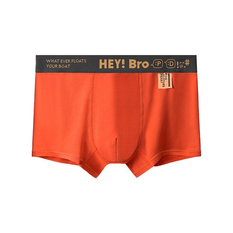 Hey! Bro Men's Briefs