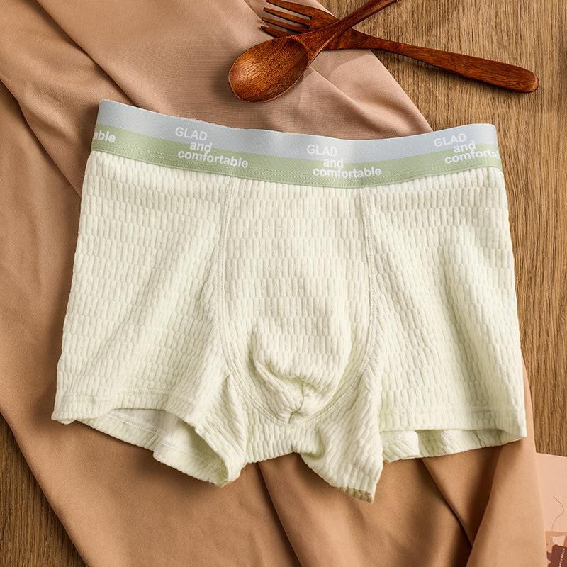 Men's Basic Cotton Pure Color Underwear