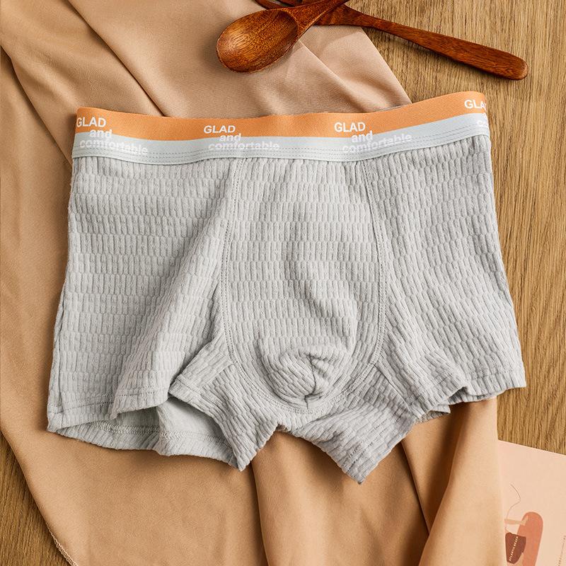Men's Basic Cotton Pure Color Underwear