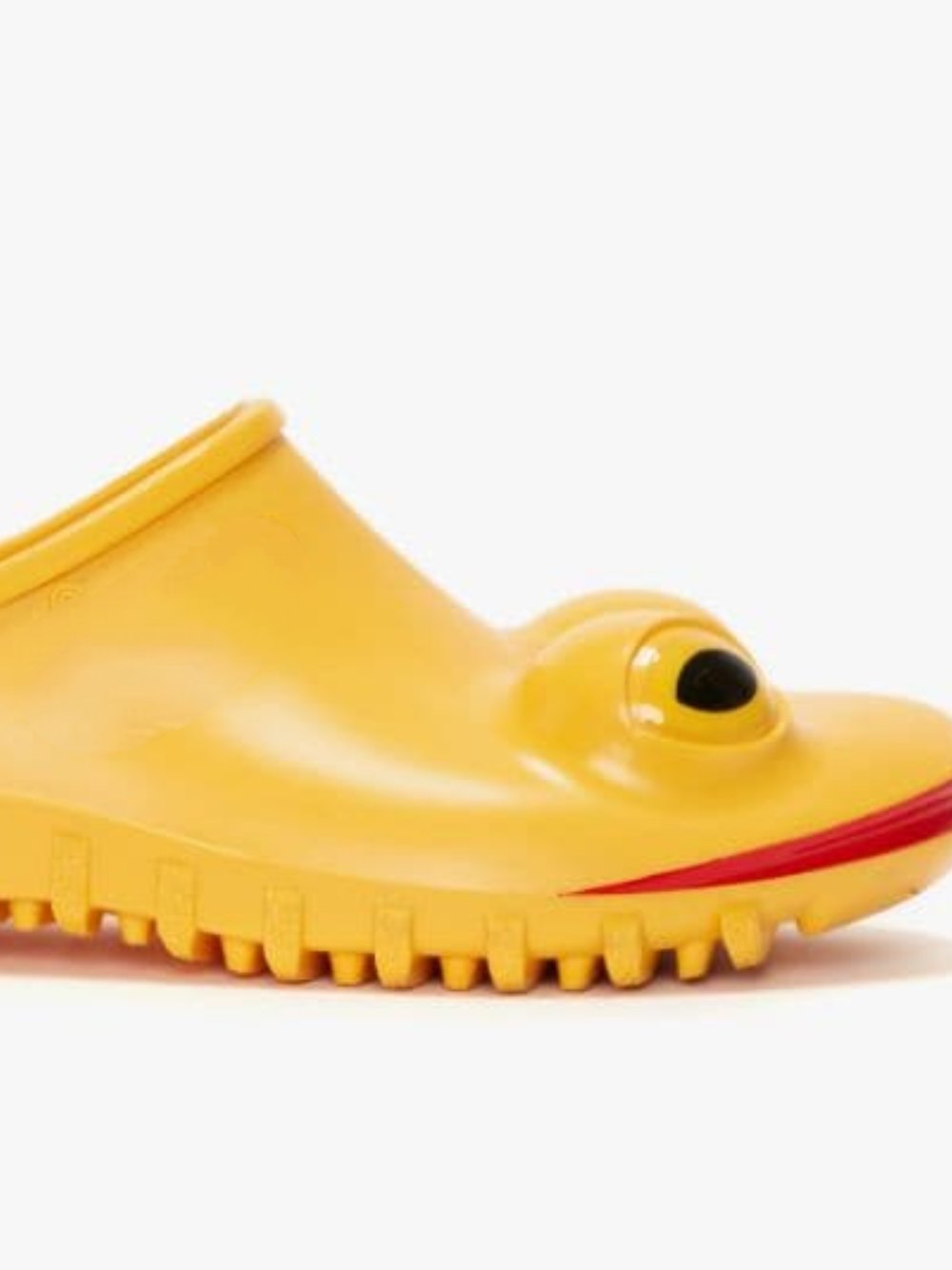 Lizard Slippers