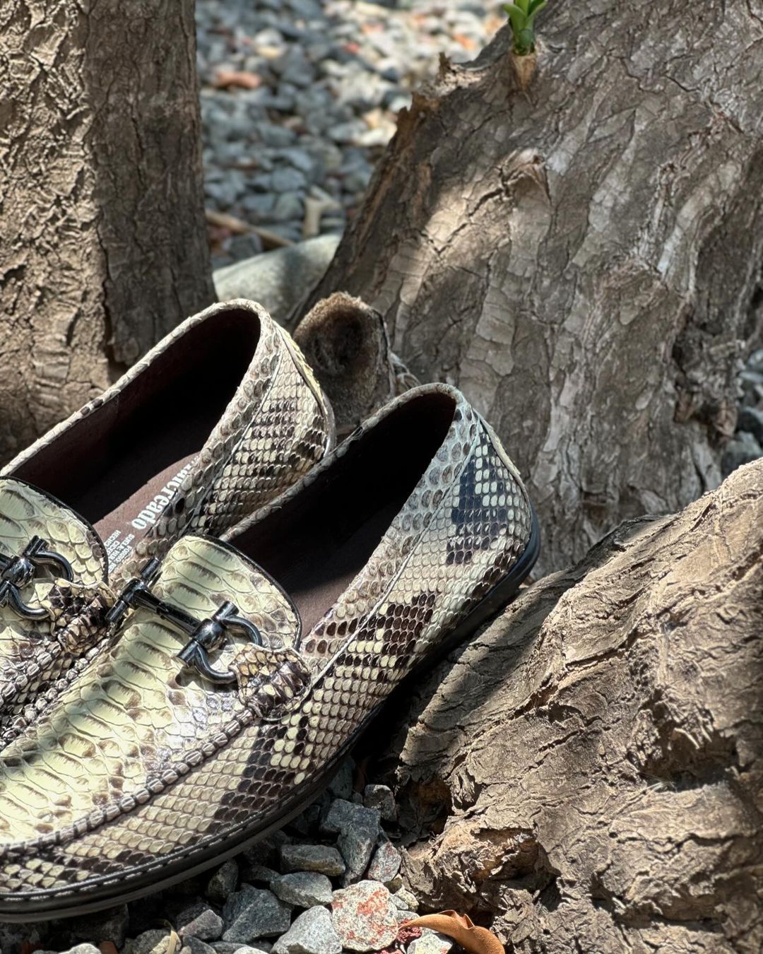 Natural Python Skin Loafers